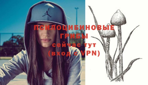 индика Покачи