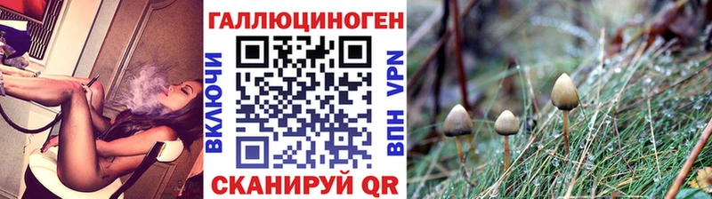 Псилоцибиновые грибы MAGIC MUSHROOMS  MEGA маркетплейс  Высоцк 